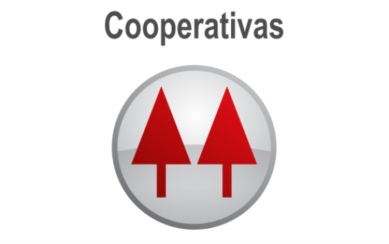 i - Cooperativas 