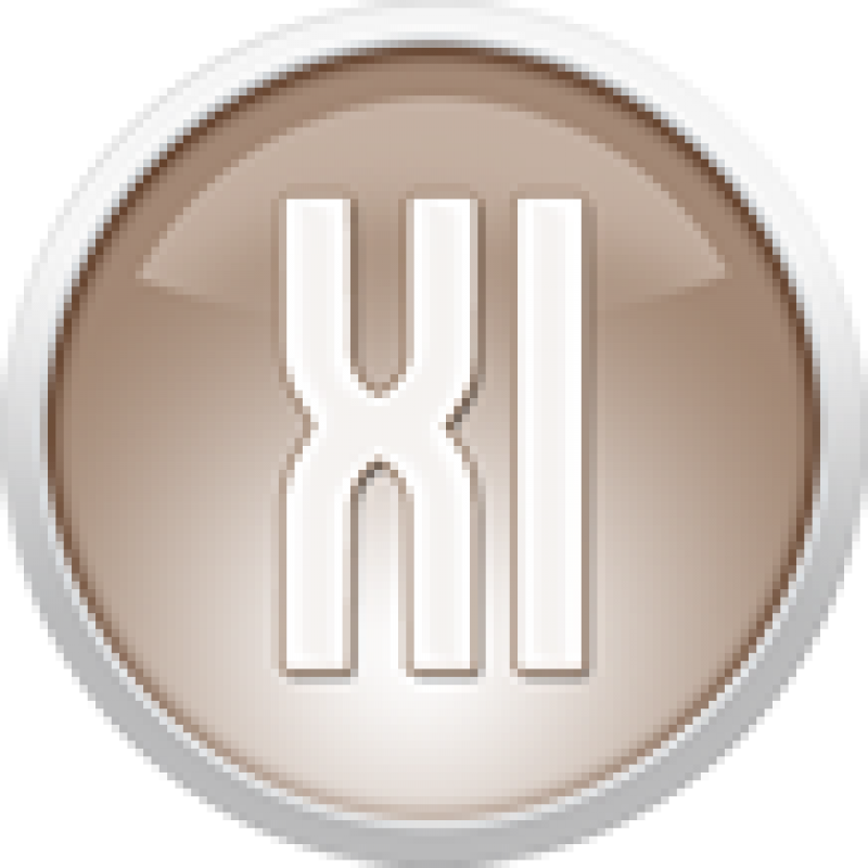 XML Importer